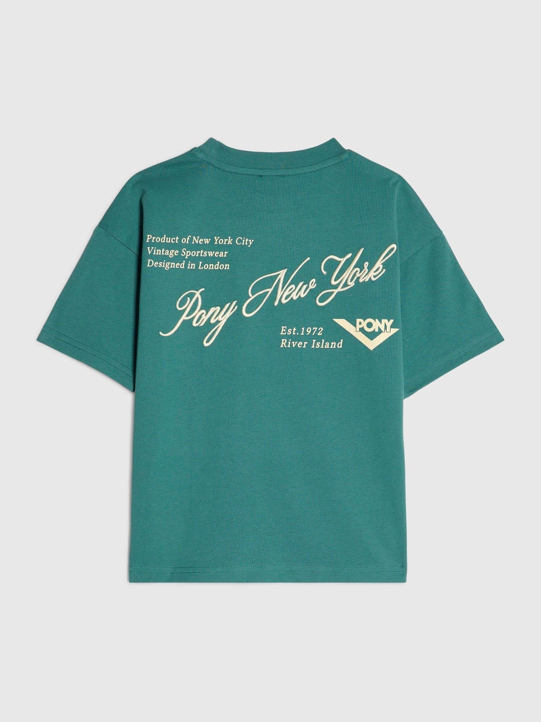 Dsiney Kidz - River Island Green Oversized Pony Scripty T-Shirt image 1