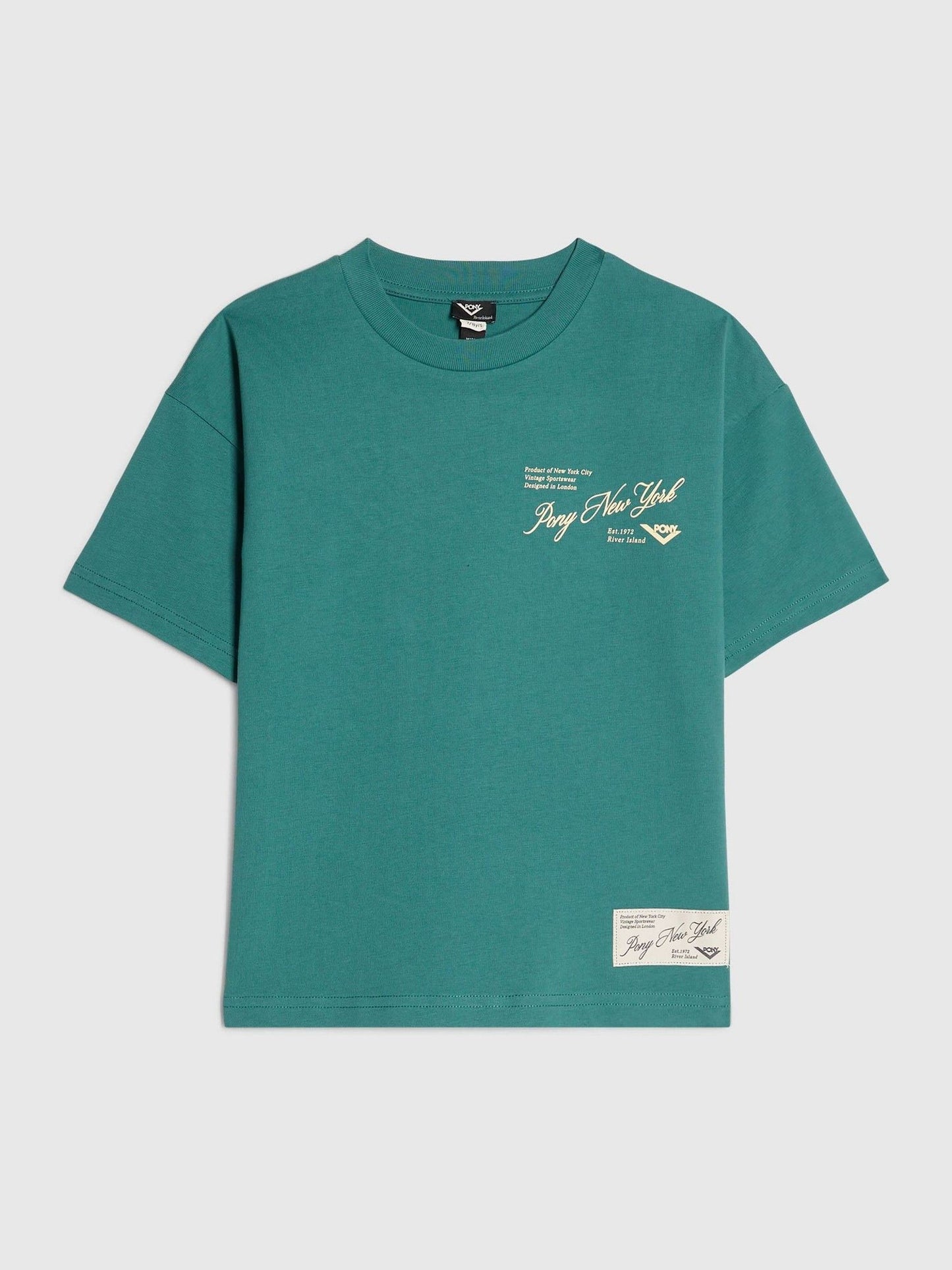 Dsiney Kidz - River Island Green Oversized Pony Scripty T-Shirt image 2