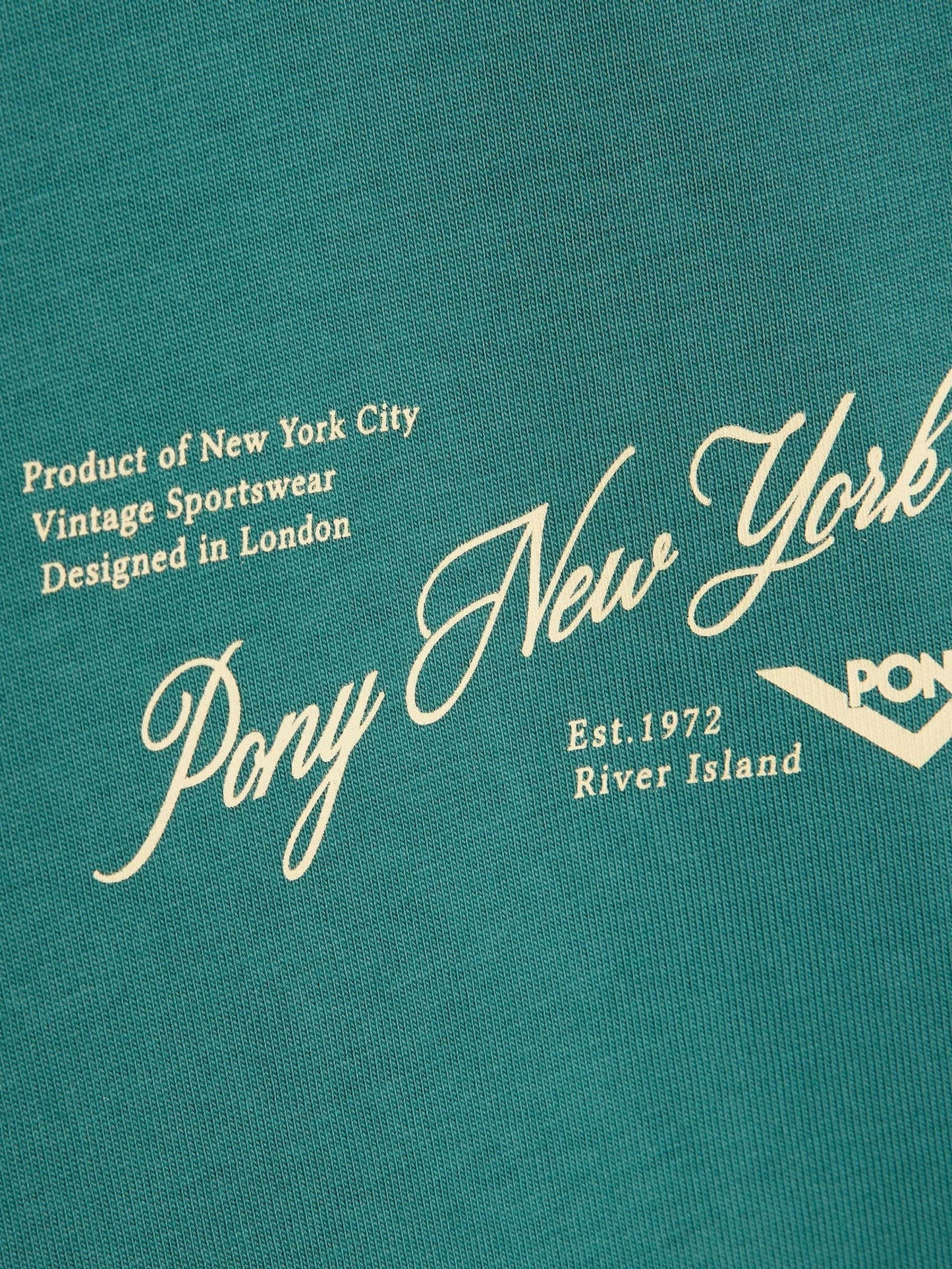 Dsiney Kidz - River Island Green Oversized Pony Scripty T-Shirt image 4