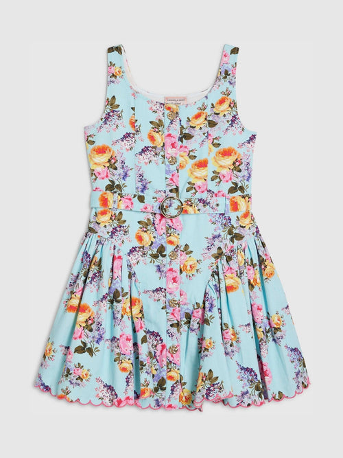 Dsiney Kidz - River Island Blue Cabbages and Roses Floral Prom Dress image 1