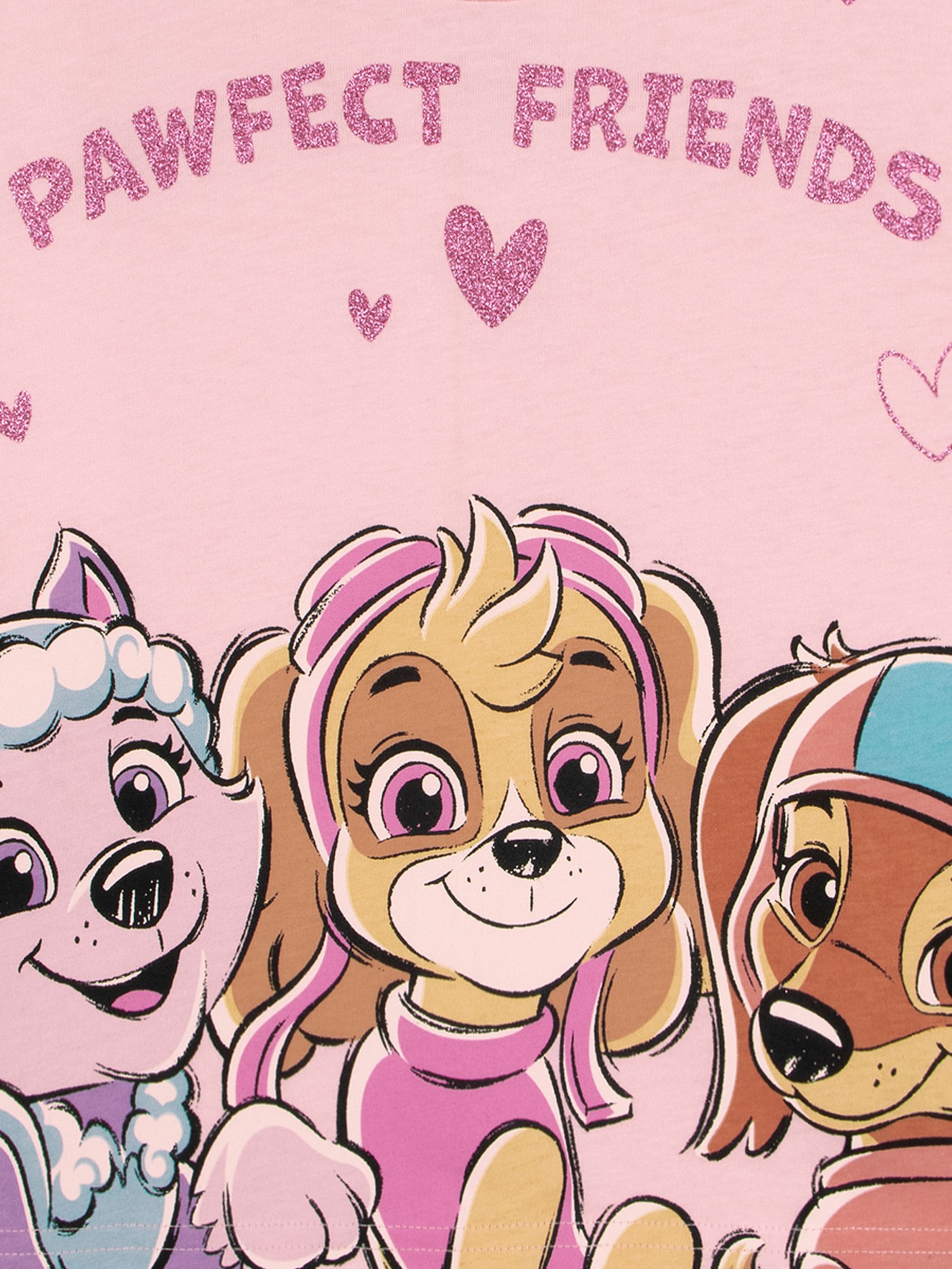 Character Pink Paw Patrol Skye Liberty And Everest T-Shirt And Skirt Set image 3