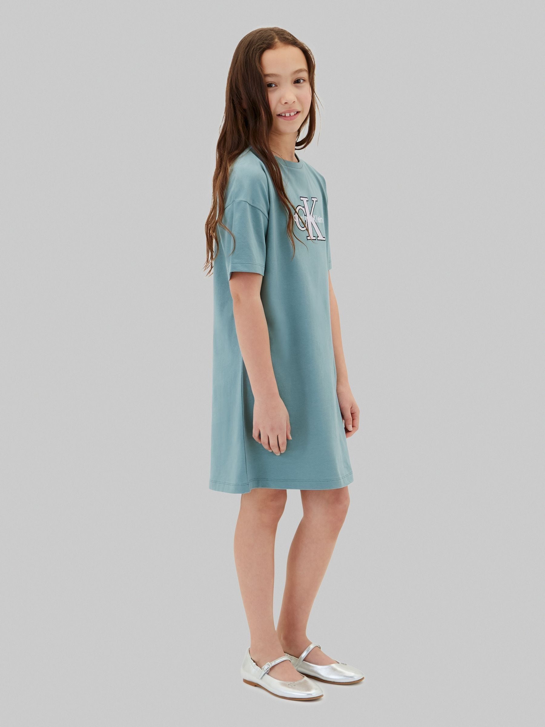 Calvin Klein Jeans Blue Signature Logo T-Shirt Dress image 4