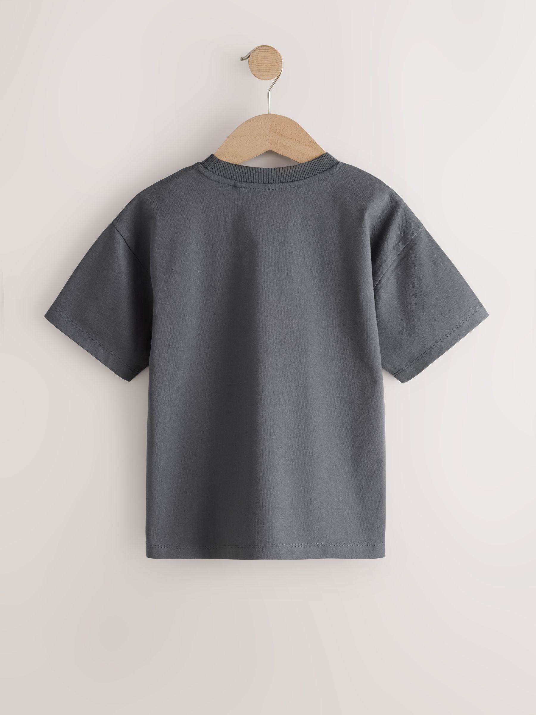 Dsiney Kidz - Charcoal Dino Embroidery Short Sleeve Graphic T-Shirt (3-16yrs) image 2