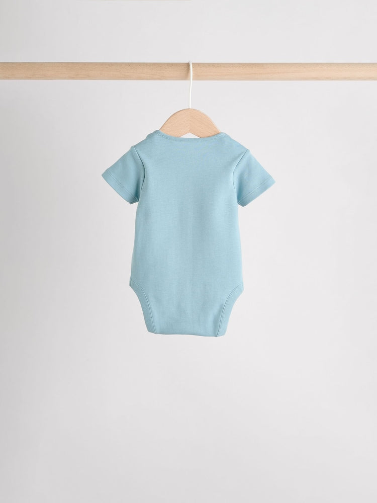 Blue Baby Sleepsuit, Bodysuit, Beanie and Bib Set 4 Piece (0-12mths)